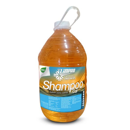 Shampoo para auto de 5 Lt  L10205